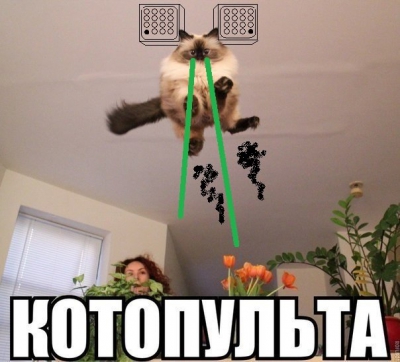 Котопульта